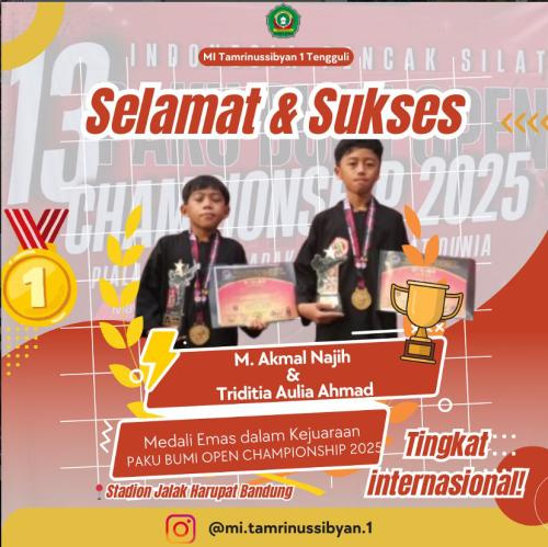 Pencak Silat Paku Bumi Open Championship Bandung